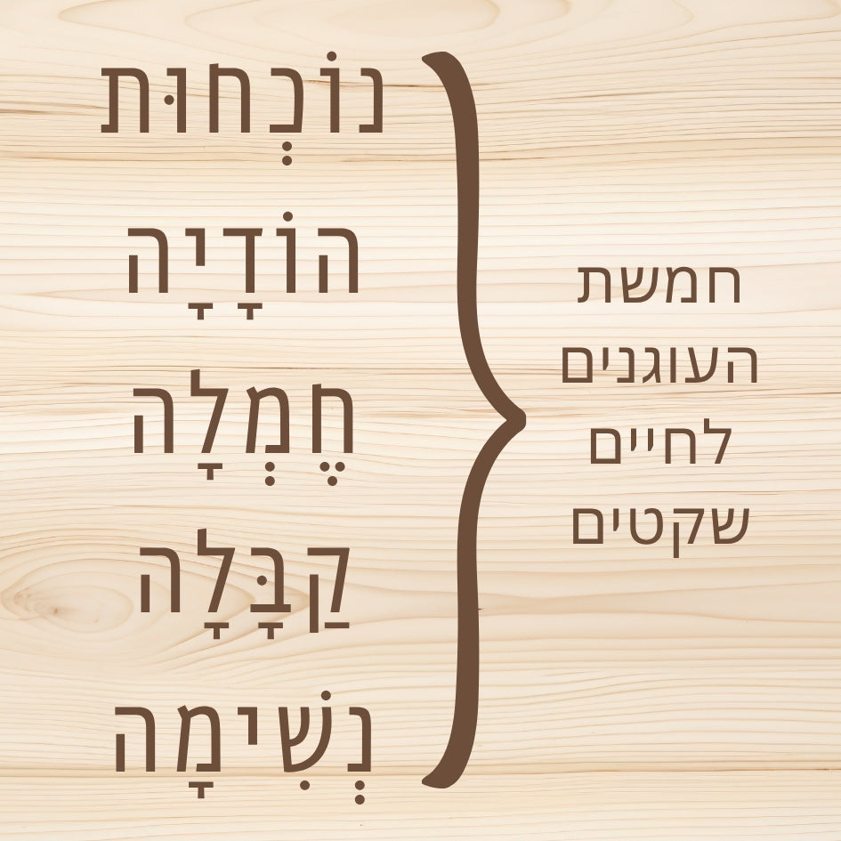 קוביית מיינדפולנס - חמשת העוגנים