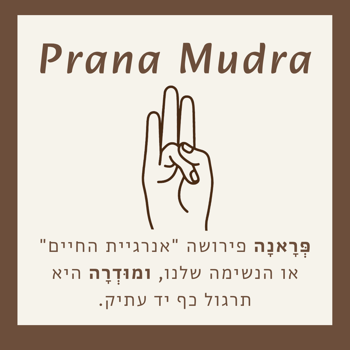 פְּרָאנָיָאמִי - זוג כפות עץ לבישול