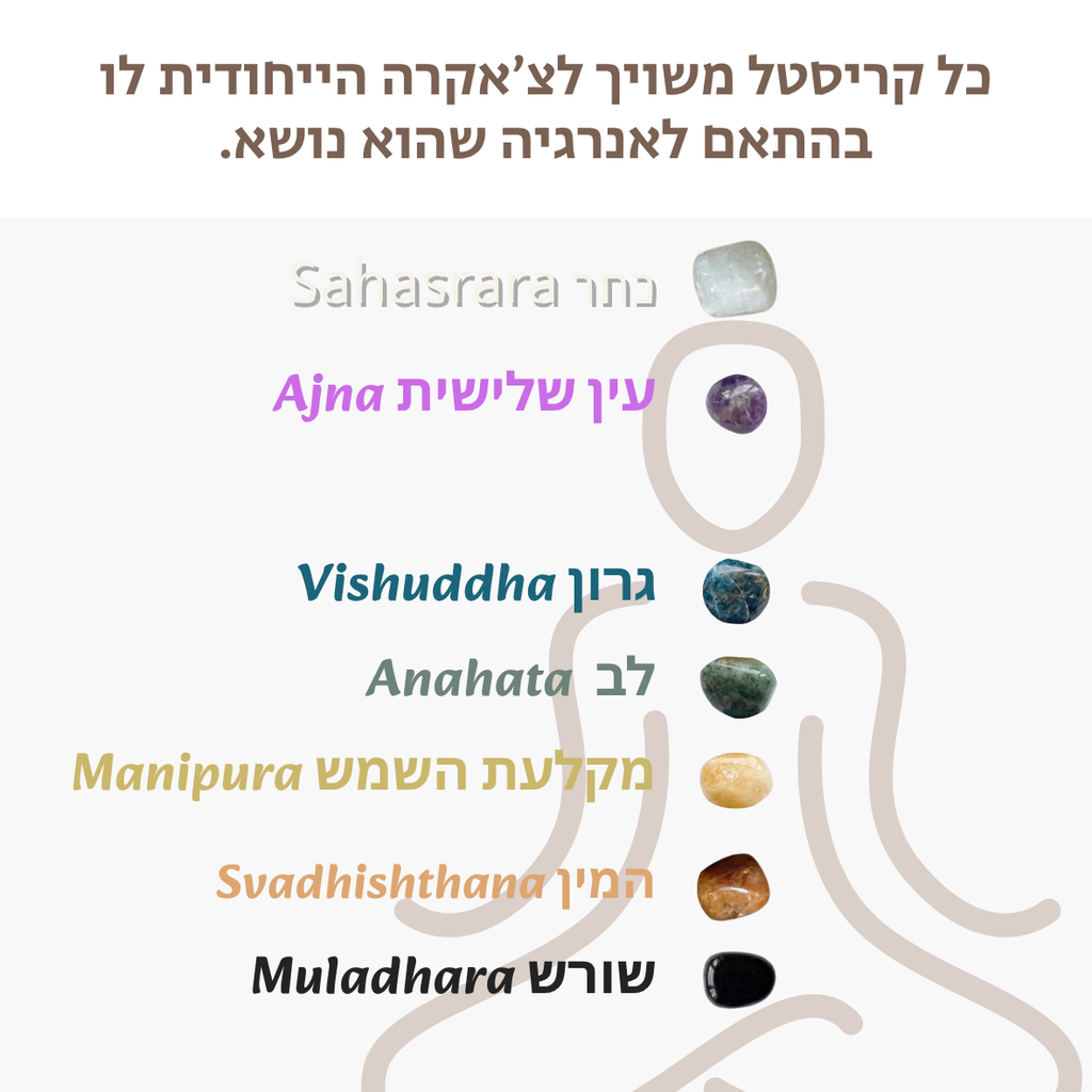 CHAKRA TO GO ערכת