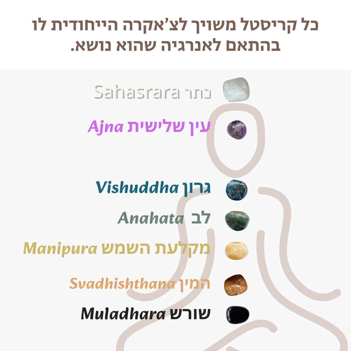 CHAKRA TO GO ערכת