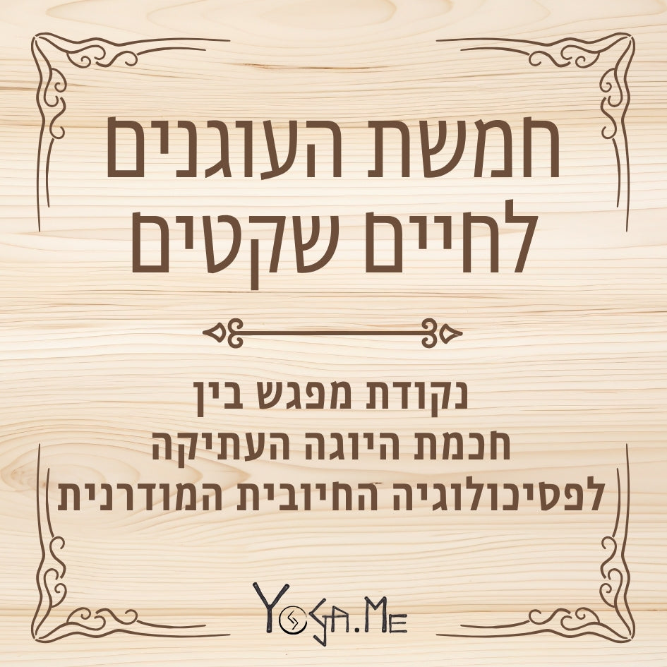 קוביית מיינדפולנס - חמשת העוגנים